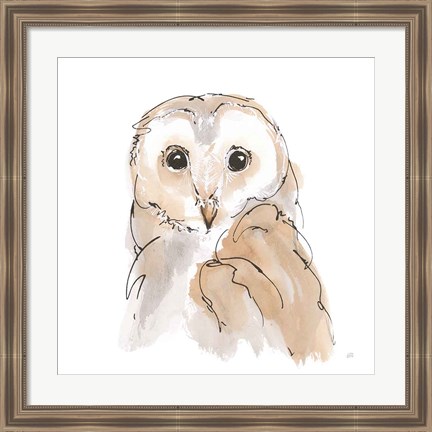 Framed Barn Owl II Print