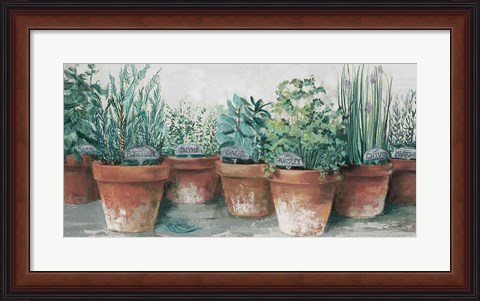 Framed Pots of Herbs II Cottage Print