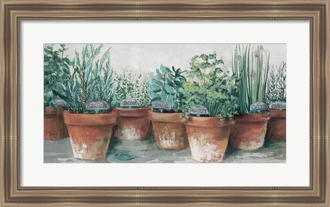 Framed Pots of Herbs II Cottage Print