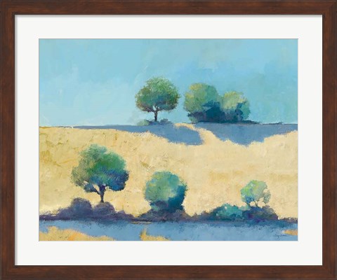 Framed Shadows II Print