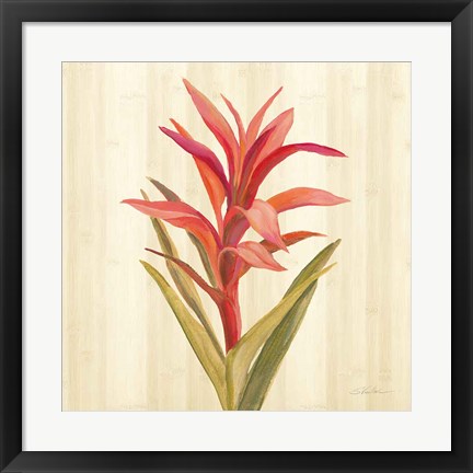 Framed Tropical Garden III Print