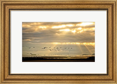 Framed Sunrise on The Estuary Print