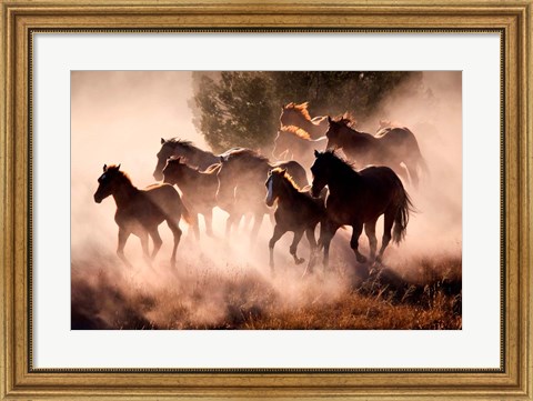 Framed Horses Print