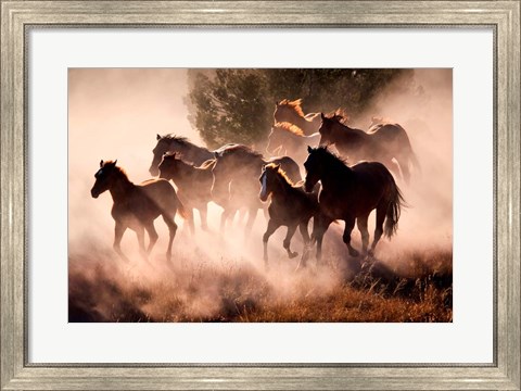 Framed Horses Print