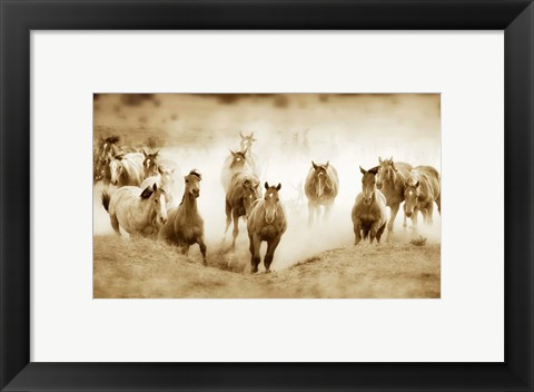 Framed San Cristobol Horses Print