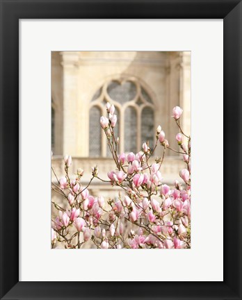 Framed Spring Magnolias In Paris Print