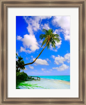 Framed Sanibel Island Print