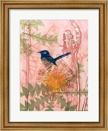 Framed Little Blue Wren Print