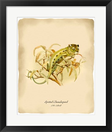 Framed Chameleopard Print