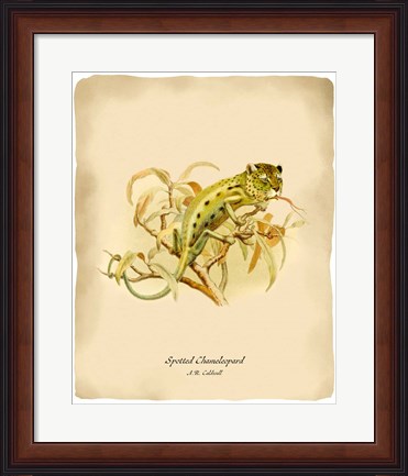 Framed Chameleopard Print