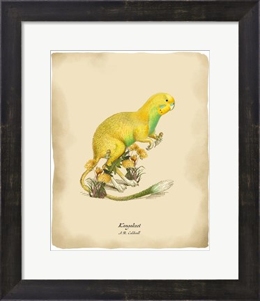 Framed Kangakeet Print