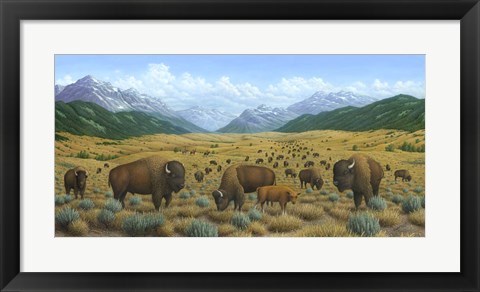 Framed Bison Trail Print