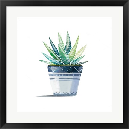 Framed Aloe Plant Print