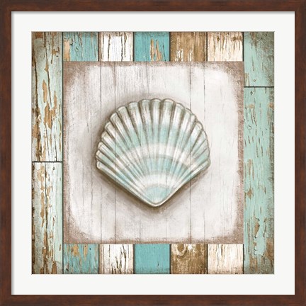 Framed Shell Print