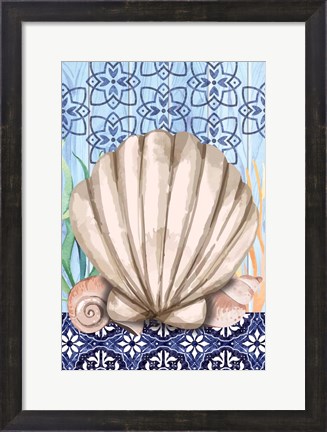 Framed Shell Print