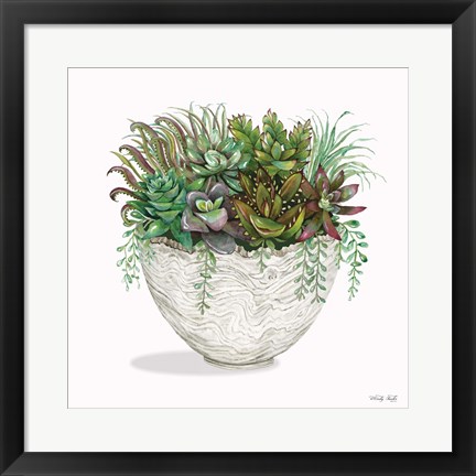 Framed Succulent on White III Print