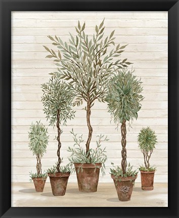 Framed Potted Tree Collection Print