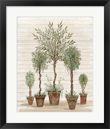 Framed Potted Tree Collection Print