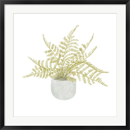 Framed Potted Fern I Print