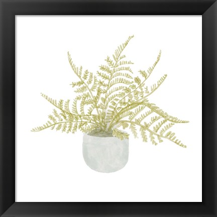 Framed Potted Fern I Print