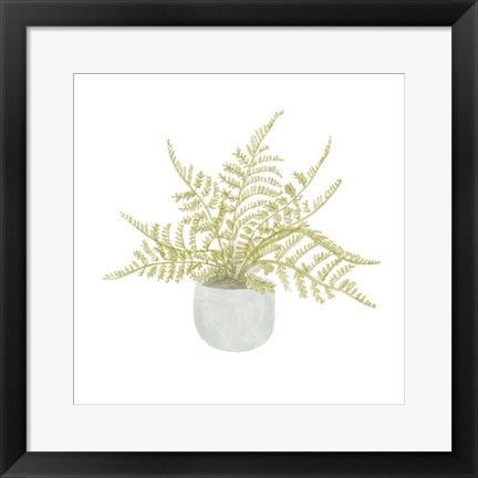 Framed Potted Fern I Print