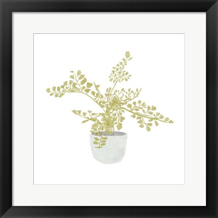 Framed Potted Fern III Print