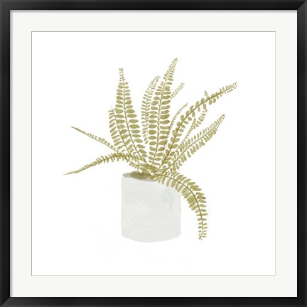 Framed Potted Fern V Print