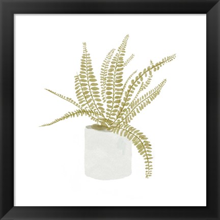 Framed Potted Fern V Print