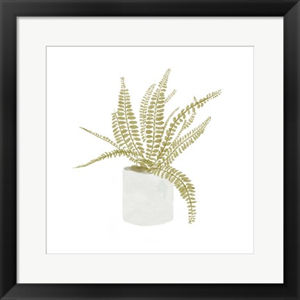 Framed Potted Fern V Print