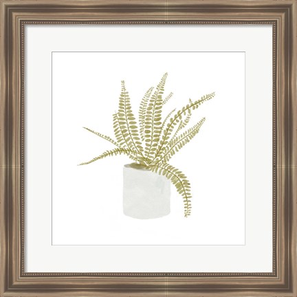 Framed Potted Fern V Print