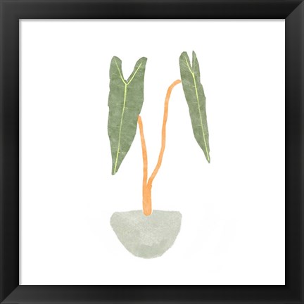 Framed Philodendron Billietiae I Print