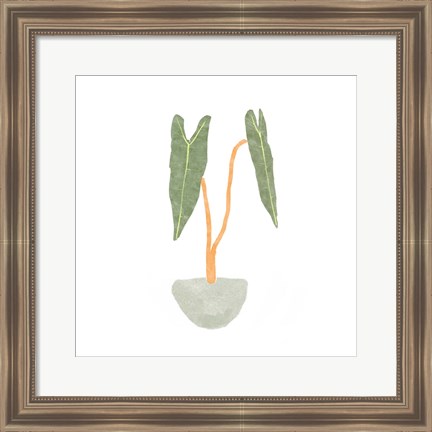Framed Philodendron Billietiae I Print