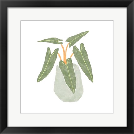 Framed Philodendron Billietiae II Print