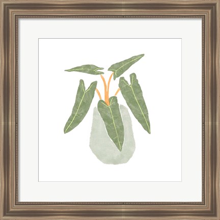 Framed Philodendron Billietiae II Print