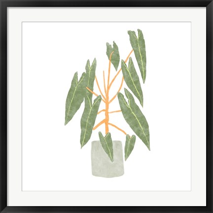 Framed Philodendron Billietiae III Print