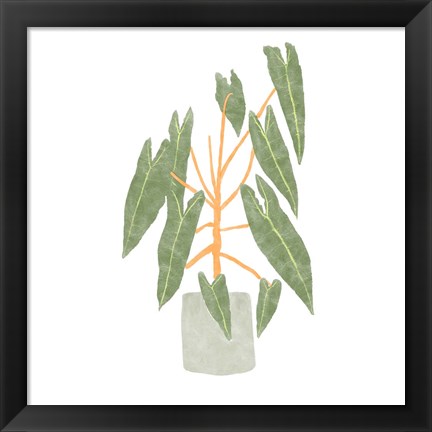 Framed Philodendron Billietiae III Print