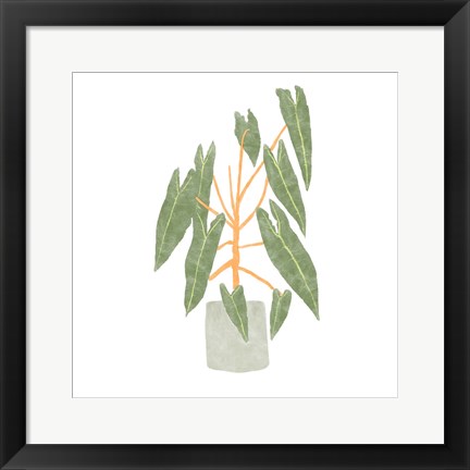 Framed Philodendron Billietiae III Print