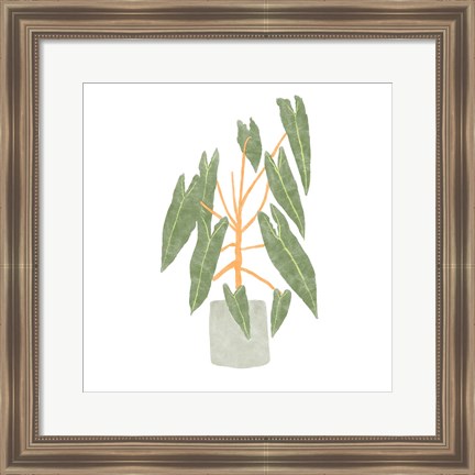 Framed Philodendron Billietiae III Print