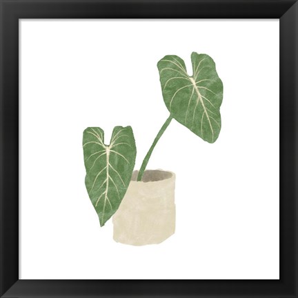 Framed Philodendron Gloriosum I Print