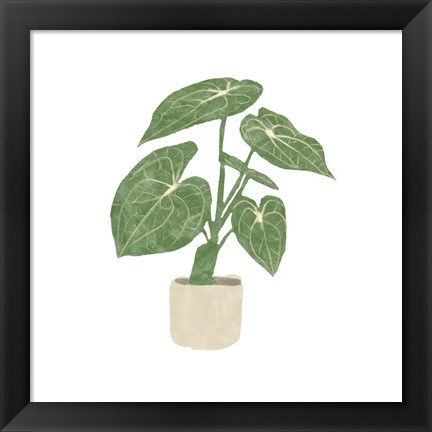 Framed Philodendron Gloriosum II Print