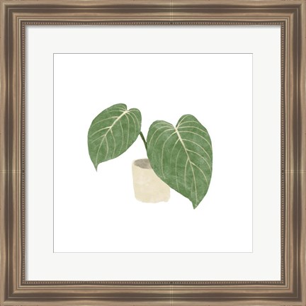 Framed Philodendron Gloriosum III Print