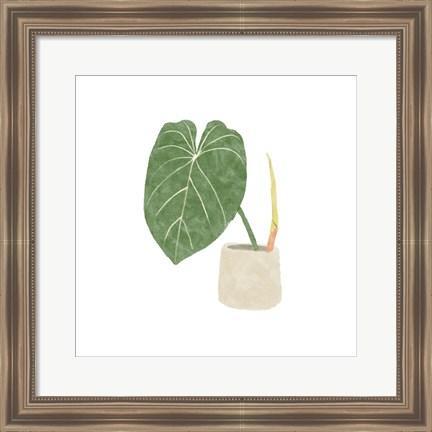 Framed Philodendron Gloriosum V Print