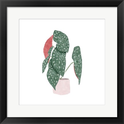 Framed Polka Dot Begonia I Print