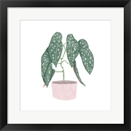 Framed Polka Dot Begonia III Print