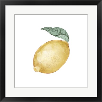 Framed Citrus Limon I Print