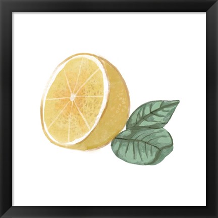 Framed Citrus Limon IV Print