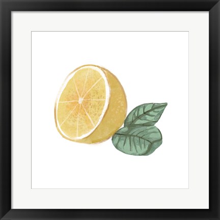 Framed Citrus Limon IV Print