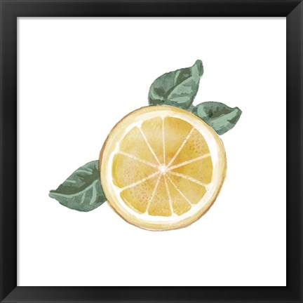 Framed Citrus Limon V Print