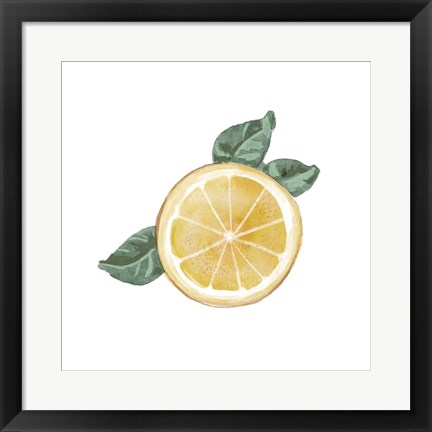 Framed Citrus Limon V Print