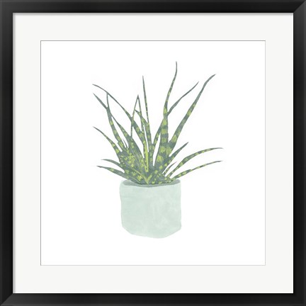 Framed Snake Plant I Print